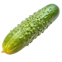 Fresh cucumber on a white background ready for use png