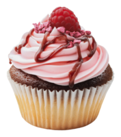 Raspberry chocolate cupcake with pink frosting png