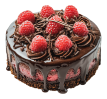 Chocolate raspberry cake with toppings png