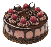 Chocolate raspberry cake with berries png