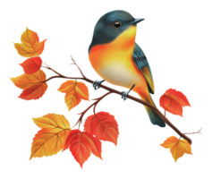 Beautiful bird perched on a colorful autumn branch png