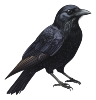 Black crow perched quietly on a branch in nature png