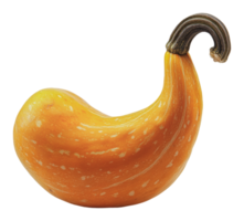 Unique yellow squash with a curved shape and stem png
