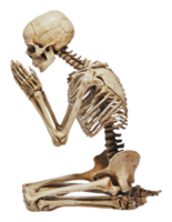 Prayerful skeleton symbolizing reflection png