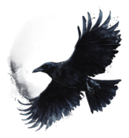 Black raven in flight against a pale backdrop png