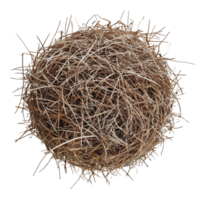 Natural nest made of twigs and grass in sunlight png