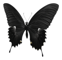 Majestic black butterfly perched on soft surface png