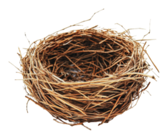 Empty bird nest made of twigs and straw materials png