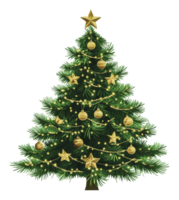 Festive decorations on a Christmas tree display png