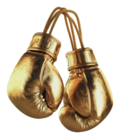 Golden boxing gloves hang in a striking display png