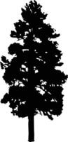 Pine tree silhouette . Fir-tree illustration isolated on white background. vector