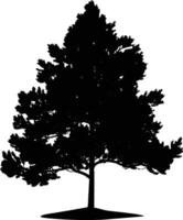 Pine tree silhouette. Fir-tree illustration isolated on white background. vector