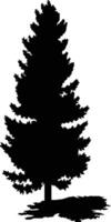 Fir-tree illustration isolated on white background. Pine tree silhouette . vector