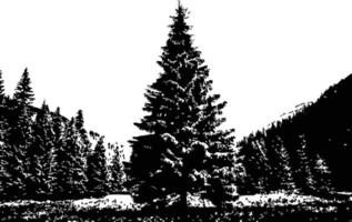 Silhouette pine tree with forest. Verity trees in black and white with grass. Beautiful forest fir trees, coniferous spruce horizontal background pattern, vector