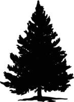 Silhouette pine tree . Fir-tree illustration isolated on white background. vector