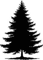 Pine tree . Fir-tree illustration isolated on white background. vector