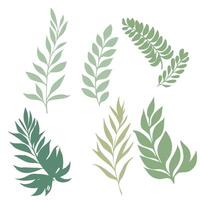Minimalist Botanical Design Elements vector