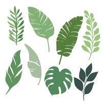 Green Leaf Silhouette Icon Set. Minimalist Botanical Design Elements vector