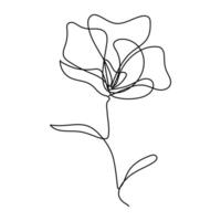 Continuous line drawing of flower.Hand drawn magnolia.Single one line flower magnolia.Flower outline sketch. vector