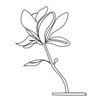 Magnolia with leaves one line drawing. vector