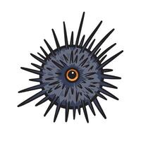 Sea urchin colorful illustration drawing isolated on square white background. Simple flat outlined cartoon art styled drawing. vector