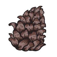 Pine cone colorful illustration drawing isolated on square white background. Simple flat outlined cartoon art styled drawing. vector