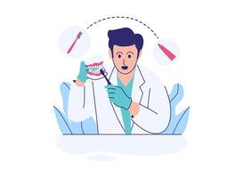 A dentist explains proper brushing technique using a model. vector