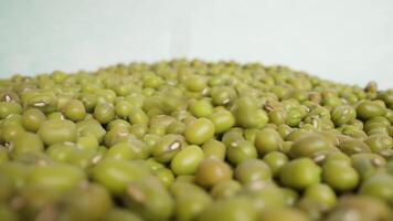 Pile of green beans thrown on surface of white studio macro video