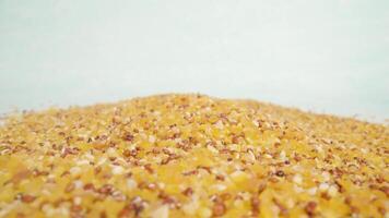 Pile of corn and chia seeds mix on white surface of studio video