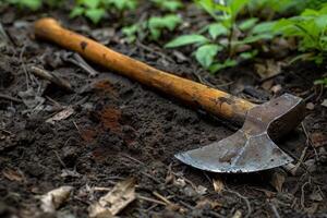 Rusty axe lying on the ground in the forest photo