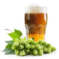 Glass of beer with beer hops and leaves on white background photo