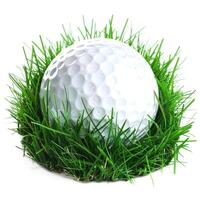 Golf ball resting in tall green grass on golf course photo