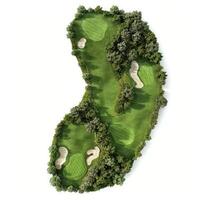 Golf course surrounded by lush green trees on white background photo