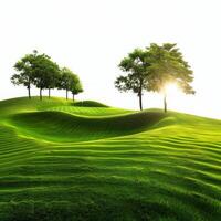 Sun shining through trees on a green golf course photo
