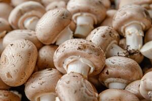 Champignon mushrooms are forming a textured background photo
