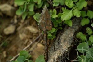 Rusty arrowhead standing upright on tree trunk photo