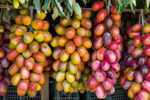 Bunches of colorful dates hanging and drying in a market photo