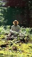 Experience a Serene and Peaceful Forest Meditation that is Deeply Engaging with the Natural Beauty video