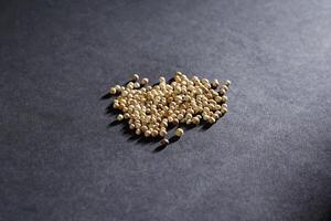 coriander seed isolated on dark background, spice concept, a Close-up background texture of dried coriander seeds photo