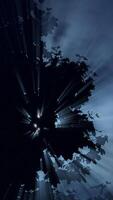 étonnamment spectaculaire lumière des rayons dans une forêt pendant le enchanteur nuit temps heures video