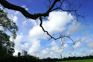 Kolkata City scape from Maidan Playground photo