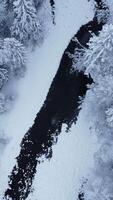 Aerial view of a mesmerizing winter wonderland featuring a snowy forest and winding river video