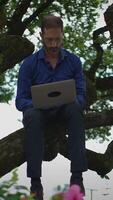 A person is engaging in work on their laptop while sitting in the branches of a tree video