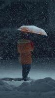 A solitary person holding an umbrella stands in a tranquil winter snowy landscape scene video
