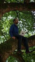 Person Engaged in Work on a Laptop While Sitting on a Tree Branch in a Peaceful Setting video