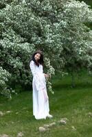 Portrait of a beautiful young woman in the park in the blooming branches photo