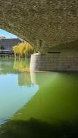The bottom of a stone bridge is reflected in a calm greenish pond with minimal ripples. The scene is calming, captivating both the structure and its surroundings. photo