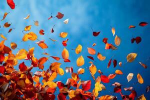 Colorful autumn leaves falling against a blue sky photo