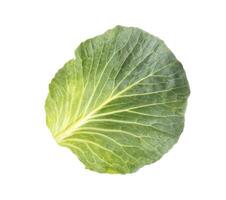 Green cabbage leaf on a white background, isolate, close-up. Vitamins photo
