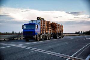 A blue modern timber truck transports round forest logs in the evening against a blue sky. Logging concept, wood import and export, business, industry. Copy space for text photo